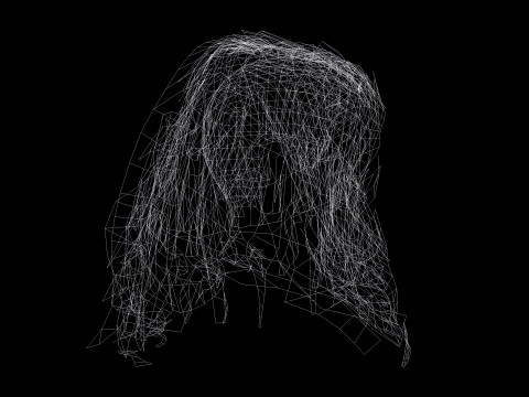 Realistic Female Curly Hair Modello 3D