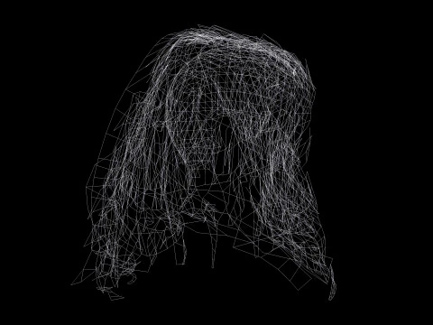 Realistic Female Curly Hair 3D Model