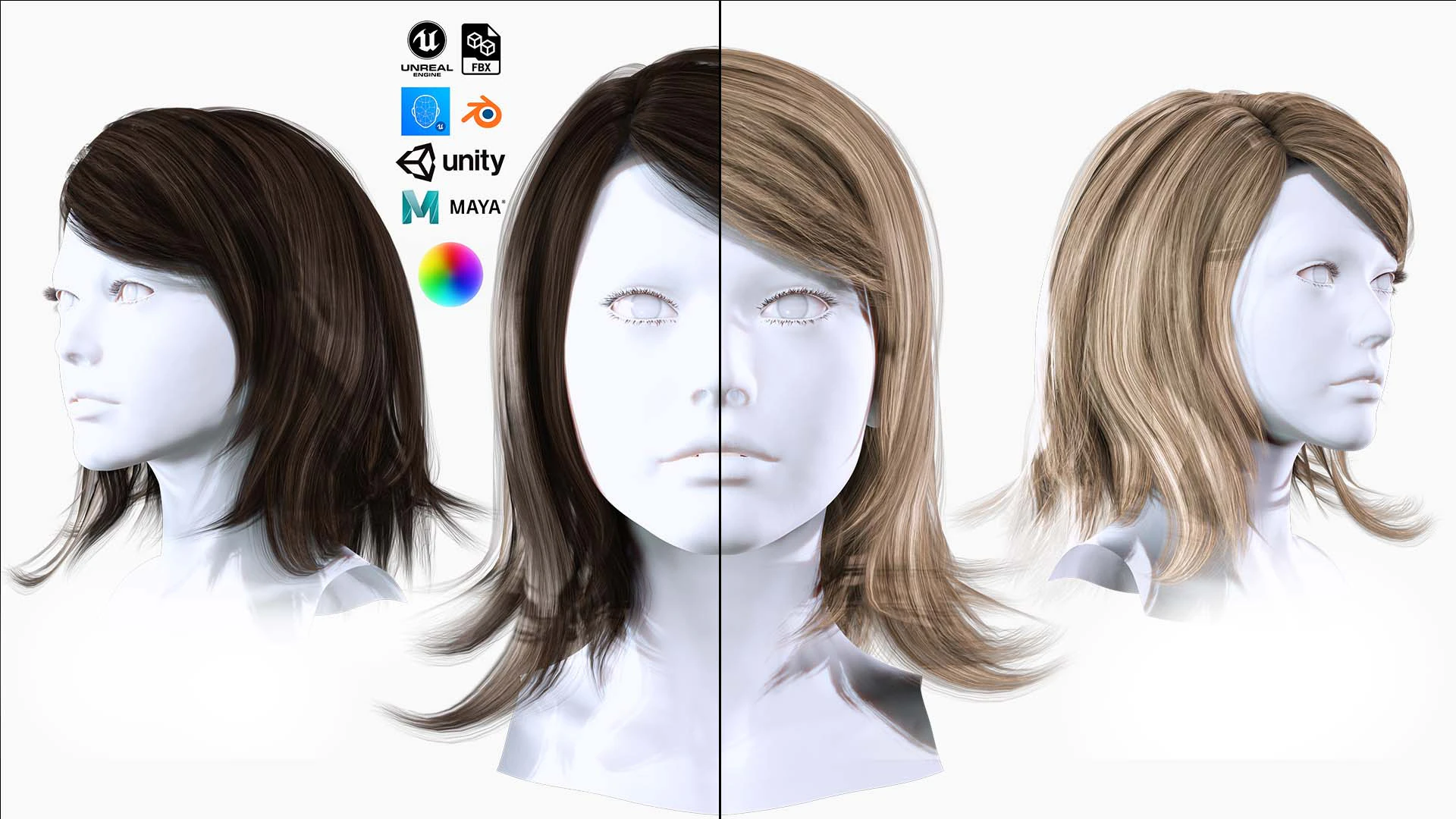 Female Hairstyle 3D Model .c4d .max .obj .3ds .fbx .stl .blend