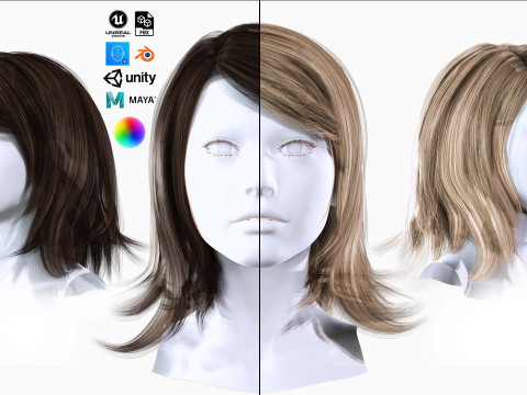 Female Hairstyle 3D 模型