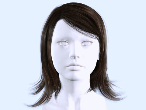 Female Hairstyle 3D Model