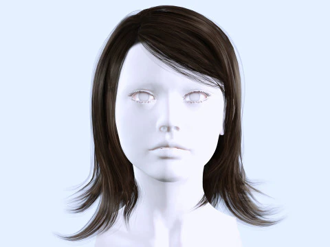 Female Hairstyle 3D Model