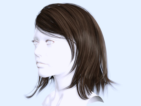 Female Hairstyle 3D Model