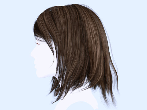 Female Hairstyle 3D Model