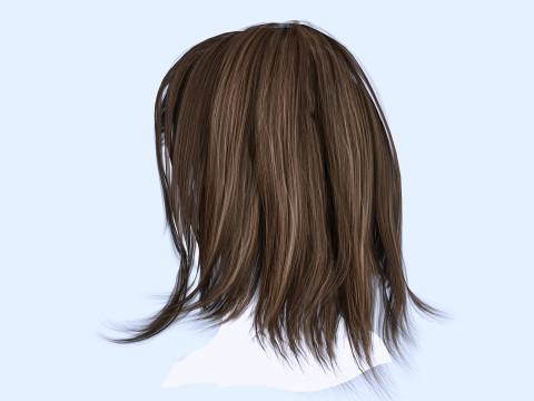 Female Hairstyle 3D Model