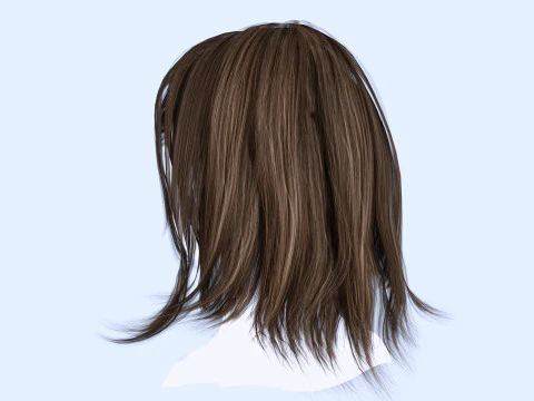 Female Hairstyle 3D Model