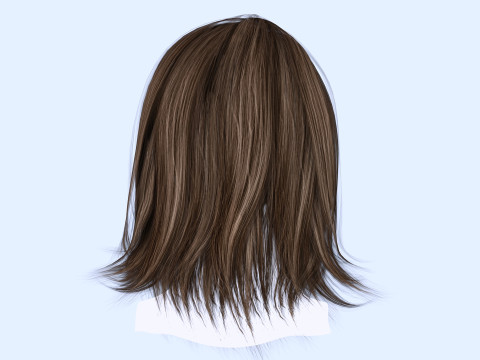 Female Hairstyle 3D Model