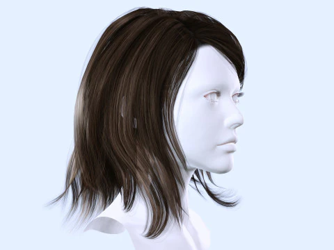 Female Hairstyle 3D Model