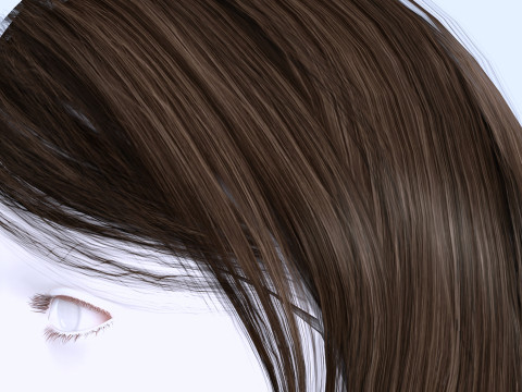 Female Hairstyle 3D Model