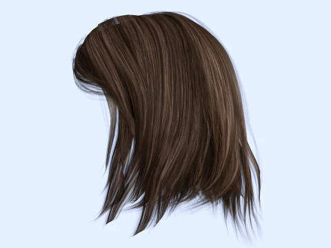 Female Hairstyle 3D Model