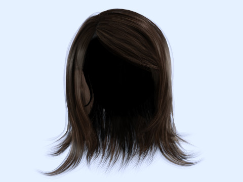 Female Hairstyle 3D Model