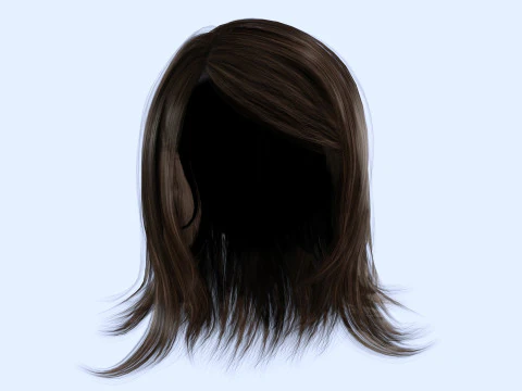 Female Hairstyle 3D Model