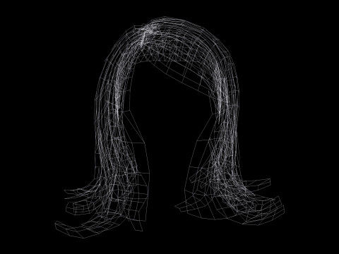 Female Hairstyle 3D Model