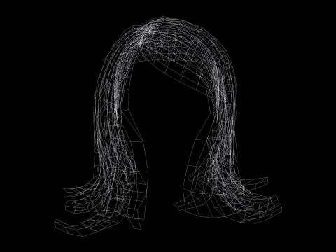 Female Hairstyle 3D Model