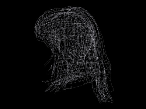 Female Hairstyle 3D Model