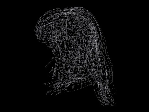 Female Hairstyle 3D Model