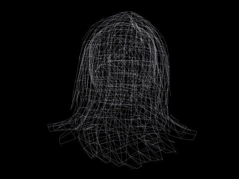Female Hairstyle 3D Model
