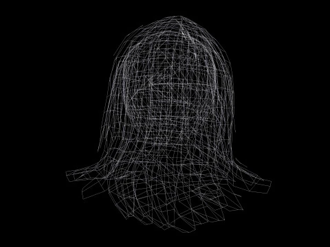 Female Hairstyle 3D Model