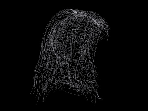 Female Hairstyle 3D Model