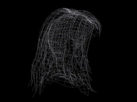 Female Hairstyle 3D Model