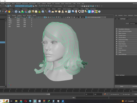 Female Hairstyle 3D Model