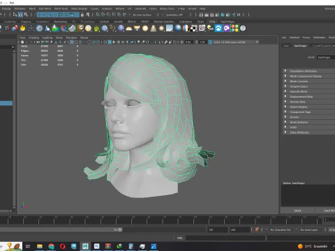 Female Hairstyle 3D Model