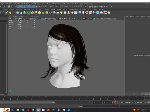 Female Hairstyle 3D Model