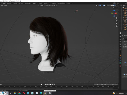 Female Hairstyle 3D Model