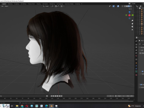 Female Hairstyle 3D Model