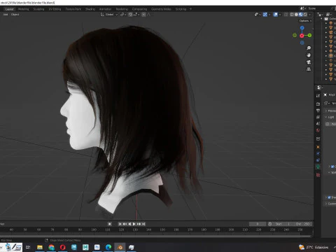 Female Hairstyle 3D Model