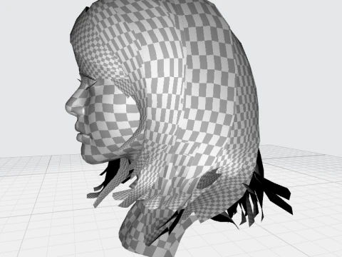 Female Hairstyle 3D Model