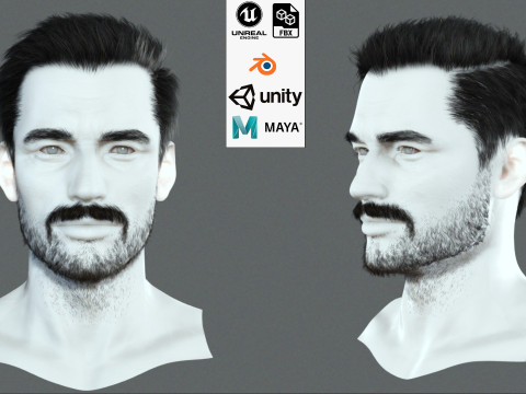 Realistic Hair Beard brows mustache p1 3D 模型