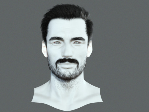 Realistic Hair Beard brows mustache p1 3Dモデル