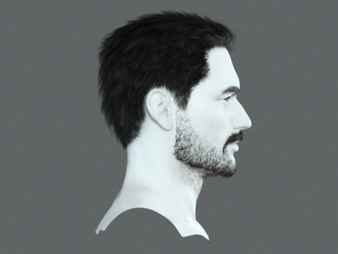 Realistic Hair Beard brows mustache p1 3Dモデル