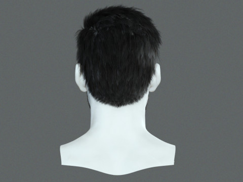 Realistic Hair Beard brows mustache p1 3Dモデル