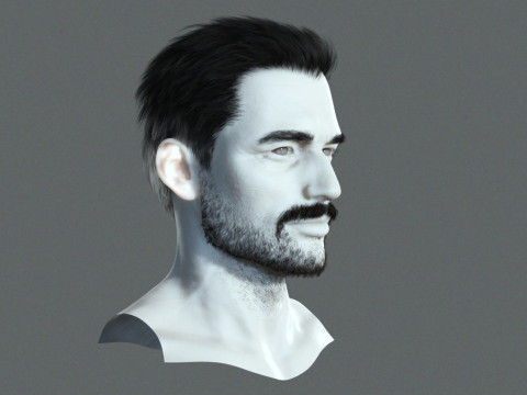 Realistic Hair Beard brows mustache p1 3Dモデル