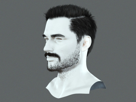Realistic Hair Beard brows mustache p1 3Dモデル