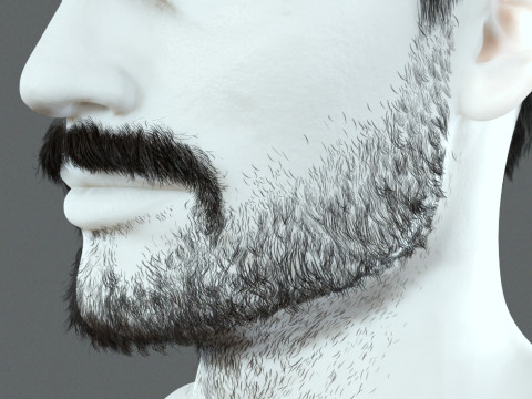 Realistic Hair Beard brows mustache p1 3Dモデル