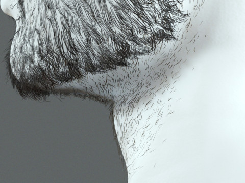 Realistic Hair Beard brows mustache p1 3Dモデル