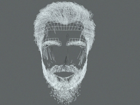 Realistic Hair Beard brows mustache p1 3Dモデル