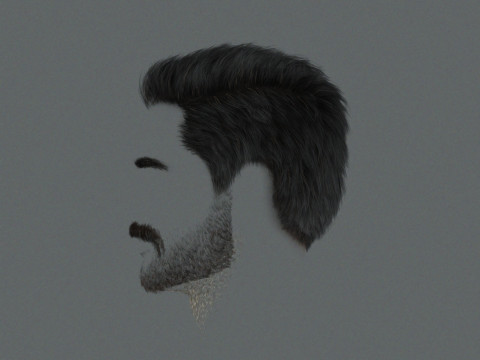 Realistic Hair Beard brows mustache p1 3Dモデル