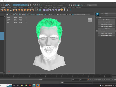 Realistic Hair Beard brows mustache p1 3Dモデル