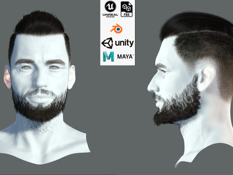 Realistic Hair Beard brows mustache p2 3D 模型