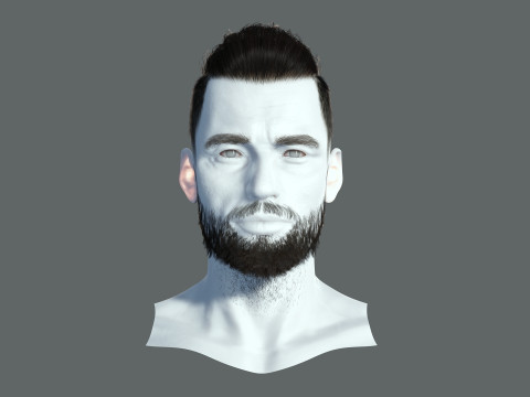 Realistic Hair Beard brows mustache p2 Modelo 3D