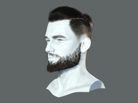 Realistic Hair Beard brows mustache p2 Modelo 3D
