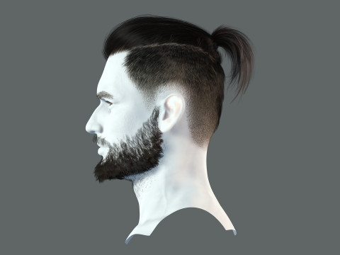 Realistic Hair Beard brows mustache p2 Modelo 3D
