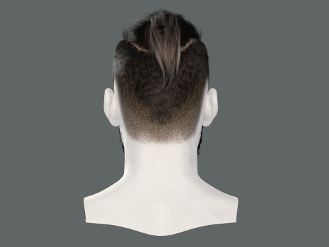 Realistic Hair Beard brows mustache p2 Modelo 3D