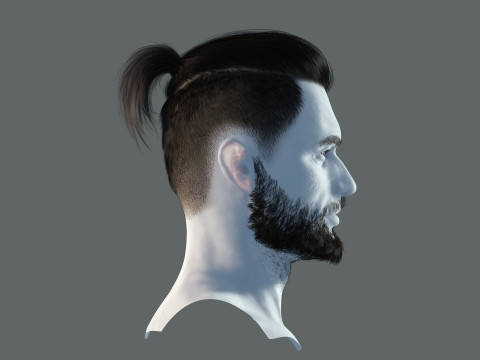 Realistic Hair Beard brows mustache p2 Modelo 3D