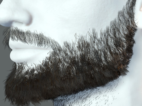 Realistic Hair Beard brows mustache p2 Modelo 3D