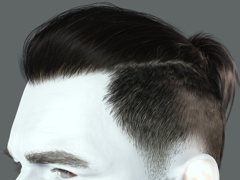 Realistic Hair Beard brows mustache p2 Modelo 3D
